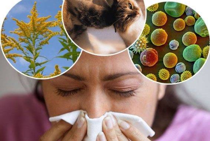 Важна вест за луѓето кои имаат проблем со алергии: ОВИЕ места во вашиот дом кријат алергени