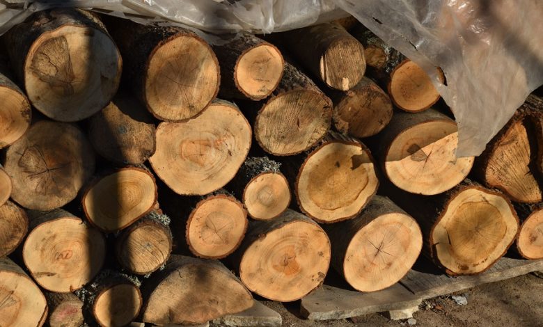 Приведен дрвокрадец во скопско, следува соодветна пријава