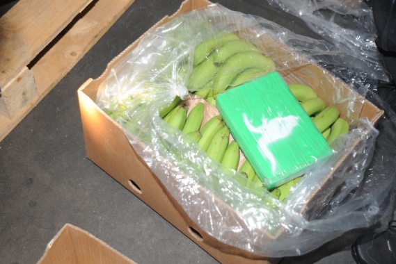 Холандските цариници заплениле 1,3 тони кокаин скриен меѓу банани