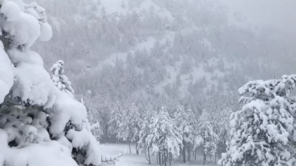 Повеќе села од Голо Брдо без струја, движењето отежнато поради снегот
