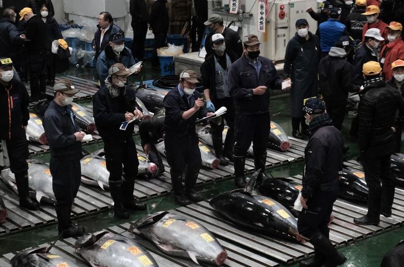 ФОТО: Во Јапонија туна продадена за 257.000 евра