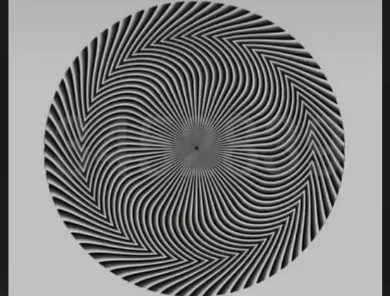 Оптичка илузија која ги полуде луѓето: Колку бројки гледате на сликата? (ВИДЕО)