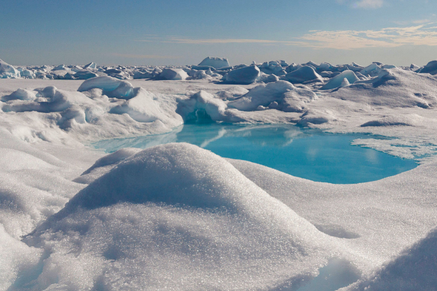 Трка со времето: Научниците се обидуваат да спасат примероци од мразот од Арктикот стари и до 300 години