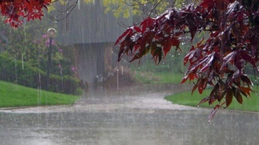 Попладне нестабилно време со локален пороен дожд и грмежи