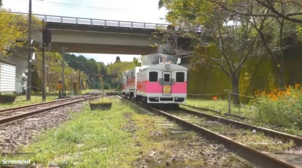 ВИДЕО: Туристички воз во Јапонија кој сообраќа на остатоци од супа