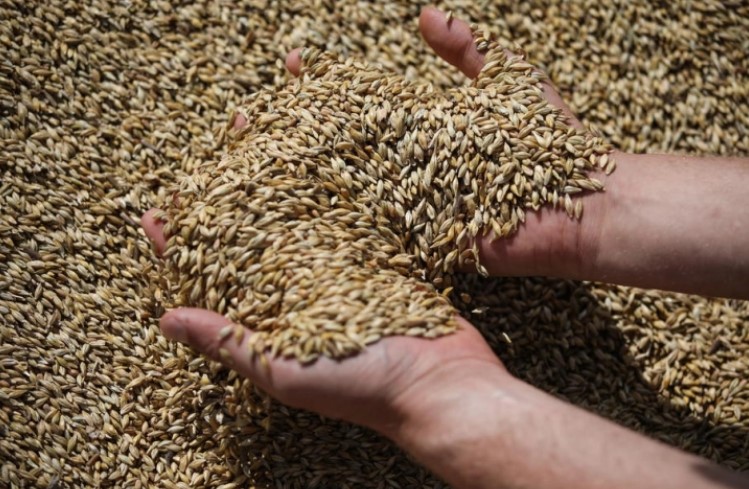 Фон дер Лајен: Продолжувањето на договорот за житото зависи од Русија