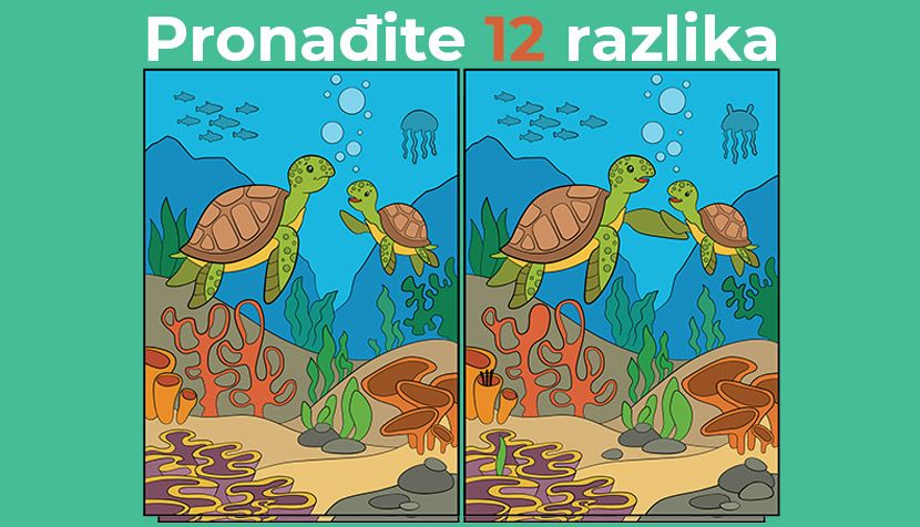 Можете ли да ги најдете 12-те разлики помеѓу илустрациите? Моменталниот рекорд е 60 секунди