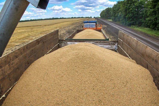 Русија го ефективно го стопира договорот за извоз на украинско жито