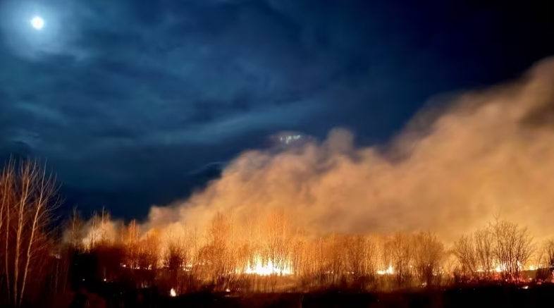 Во Алберта моментално горат 90 пожари, 23 се вон контрола