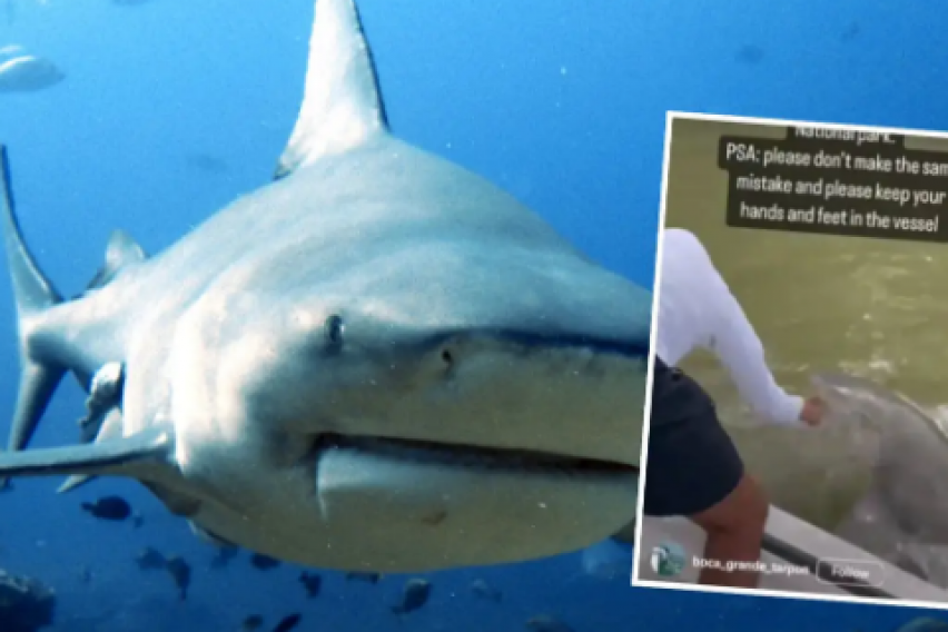 Шокантна снимка од Флорида: Ја ставил раката во вода, ајкула го повлекла и го фрлила од чамецот