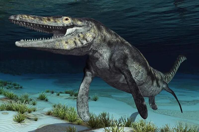 Научници открија фосил од мосасаурус стар 94 милиони години
