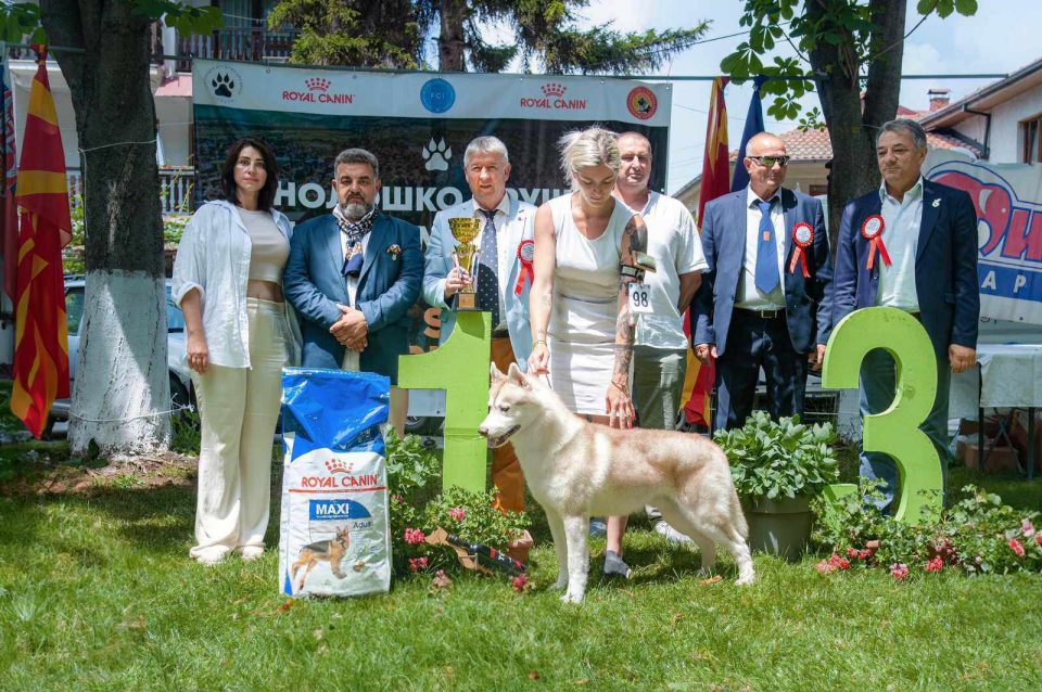 Во Струга се оддржа “Струга куп Тга за југ”, изложба на сите раси на кучиња!