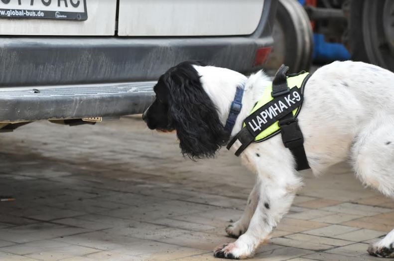 ФОТО: Царина доби уште едно куче трагач кое ќе открива наркотици, оружје и пари