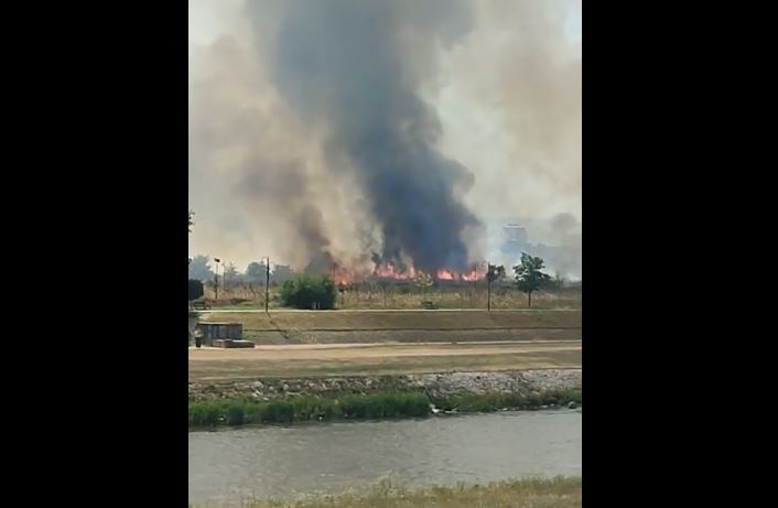 ВИДЕО: Седум противпожарни возила интервенирале на пожарот кај Аква паркот