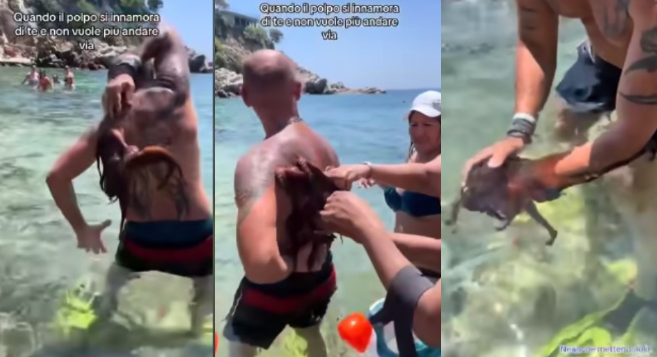 ФОТО+ВИДЕО: Влегол во Грција во море, излегол со октопод на грбот
