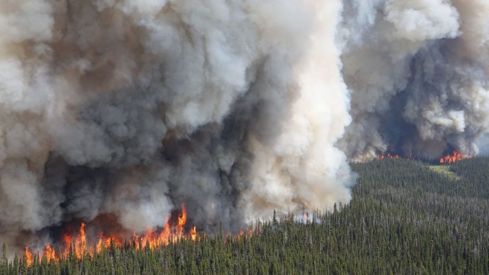 Екстремните горештини предизвикуваат шумски пожари и во САД и Канада