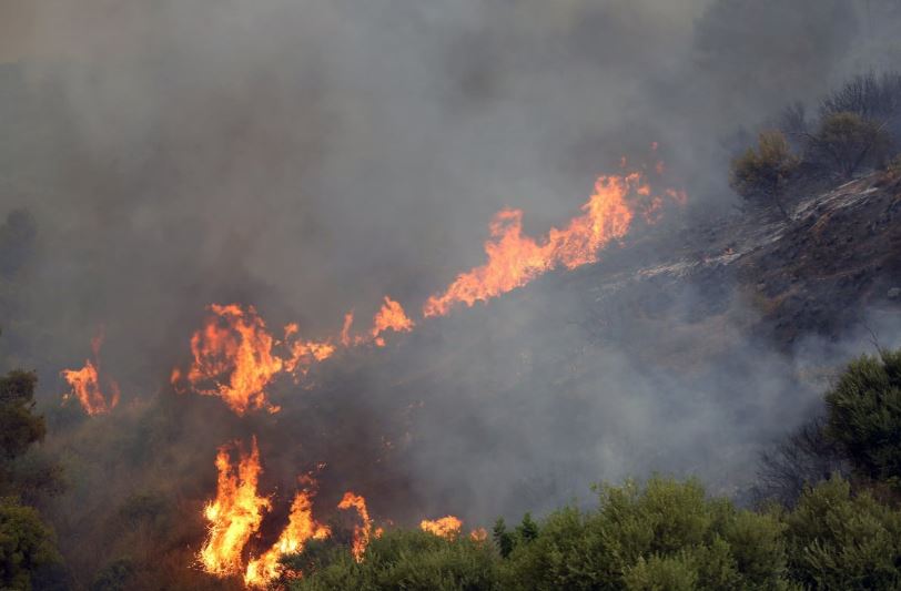 Шумски пожари беснеат во Алжир: 34 лица загинаа, меѓу кои десет војници