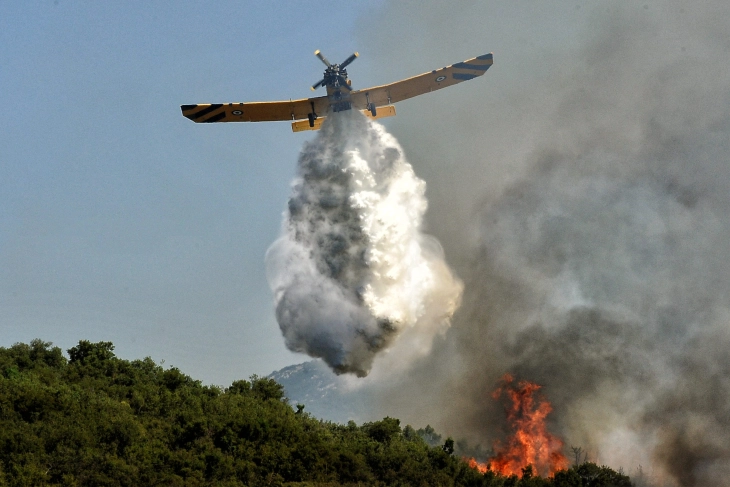 Вон контрола шумскиот пожар на грчкиот остров Родос