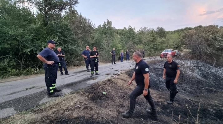 Изгаснат пожарот во близина на езерото Мантово