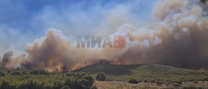 Во пожарите во Грција минатиот месец изгореле над 50.000 хектари
