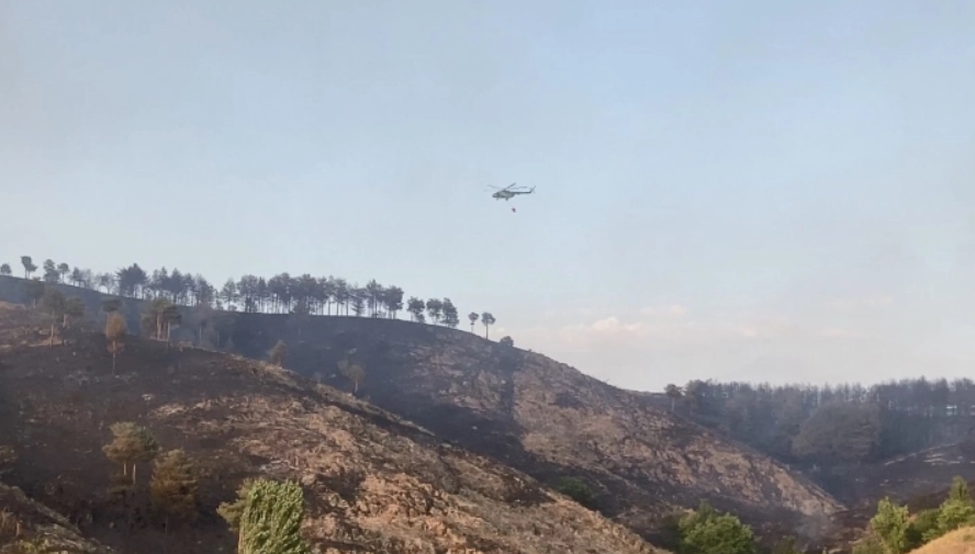 Тројца загинати во судар на два хеликоптера во Калифорнија