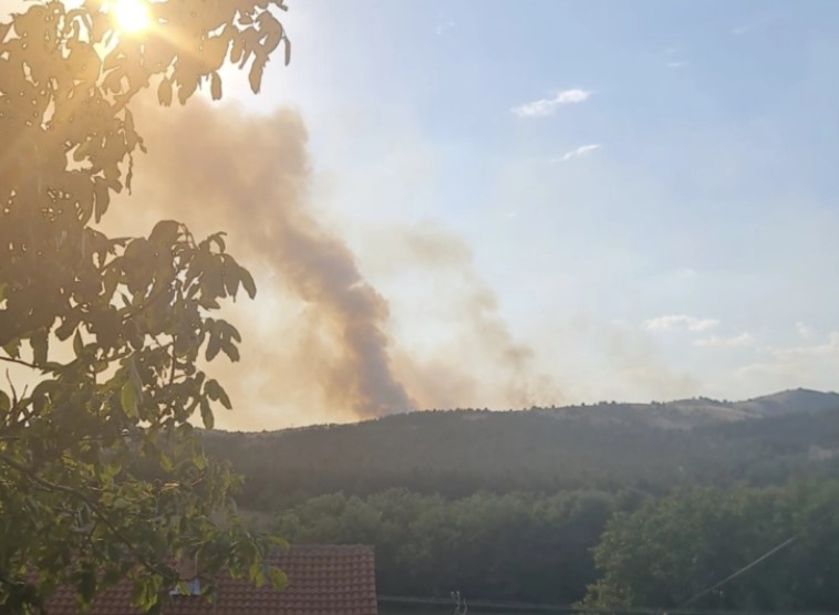 Се шири со голема брзина: Нов пожар избувна во општина Илинден