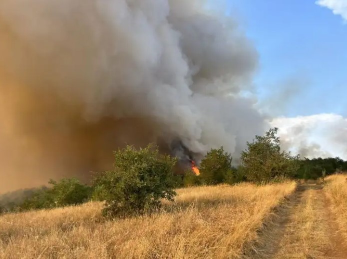 Пожар во општина Зелениково