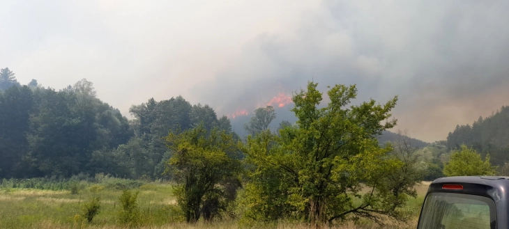 Изгаснат пожарот на планината Јакупица