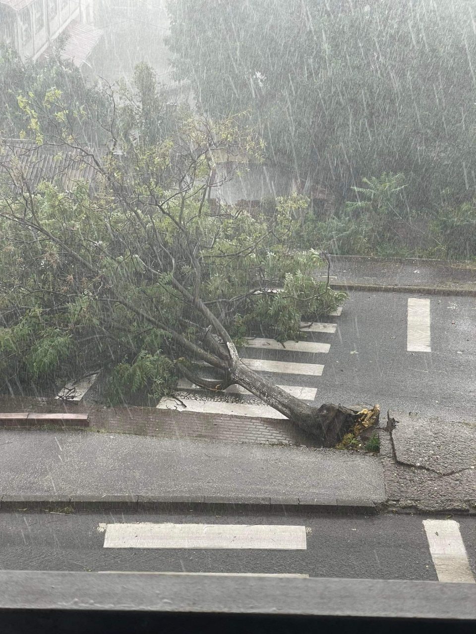 Невреме попладнево во Велес: Откорнати дрвја, падната бандера