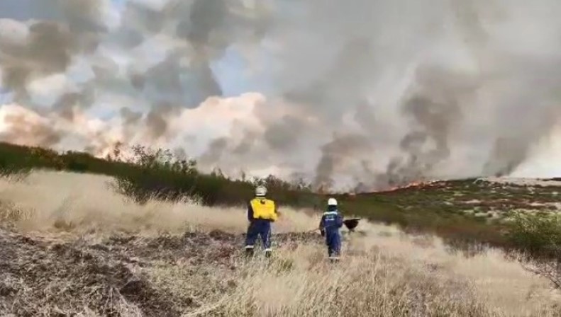 Пожар во атарот на кочански села, зафатени педесетина хектари нискостеблеста шума