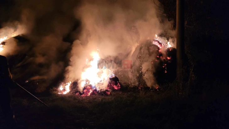 Во пожар во делчевското село Габрово изгореа 25 тони сено