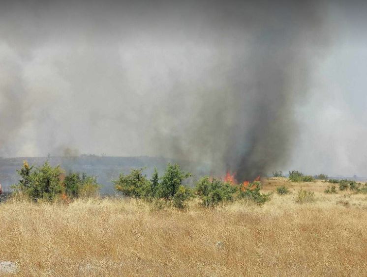 ВИДЕО: Пожарот кај Чешиново – Облешево се прошири на територија на Пробиштип