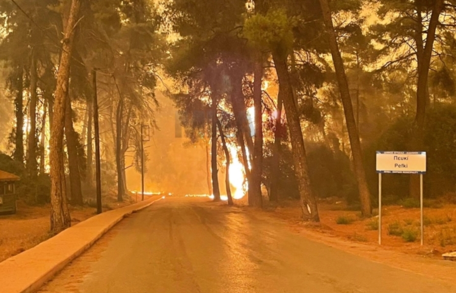 По 17 дена нема активно жариште во пожарот во грчката област Еврос