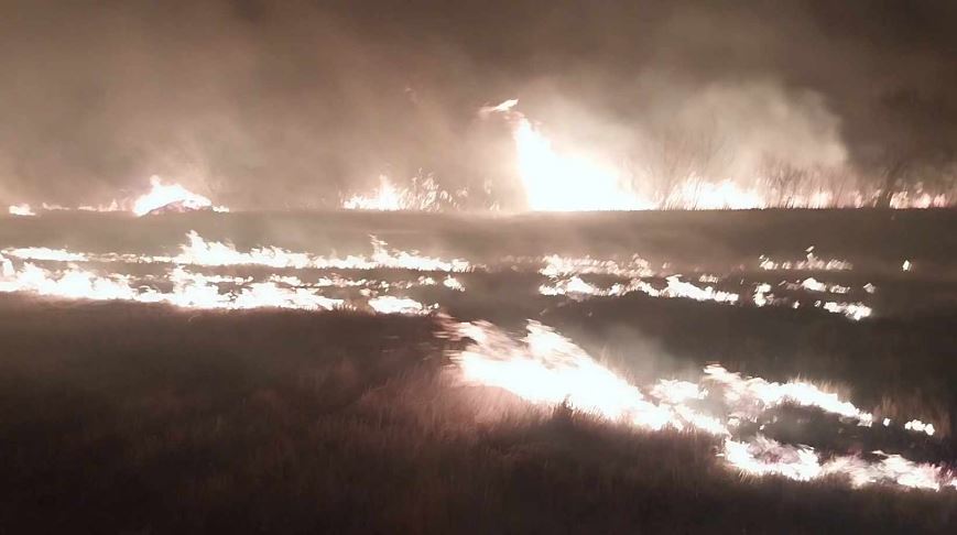Пожар на патот Штип – Радовиш, гори нискостеблеста шума