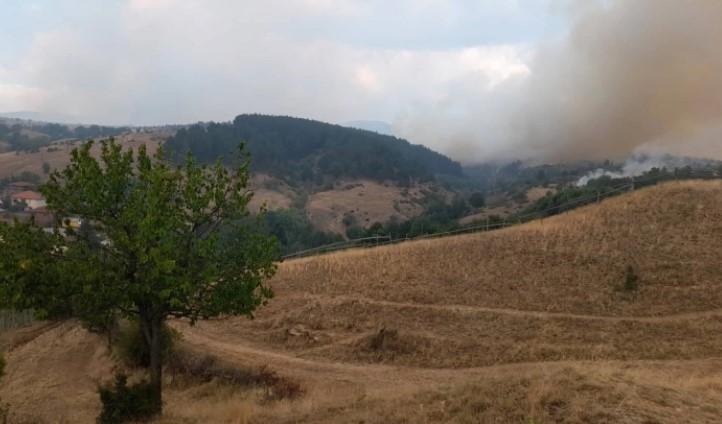 Пожарот што избувна во Зелениково се простира во атарот на три села – еве каква е состојбата