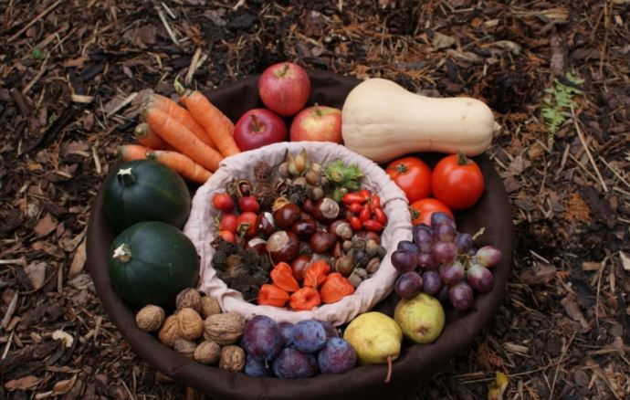 Намирници кои треба да ги јадете оваа есен: Останете здрави и уживајте во сезонските вкусови