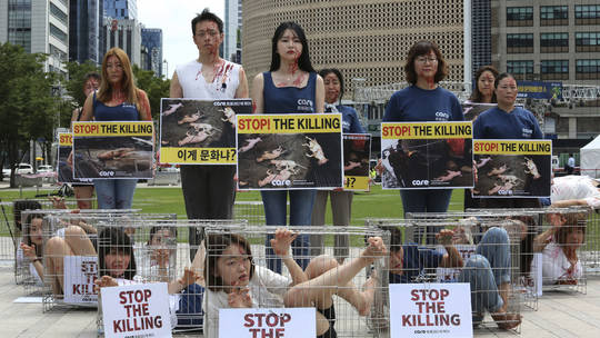 Јужна Кореја ќе забрани јадење кучиња