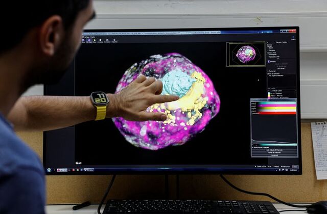 Научниците во Израел создадоа модел на човечки ембрион, интернетот гори: Дали луѓе од лабораторија се следниот чекор?