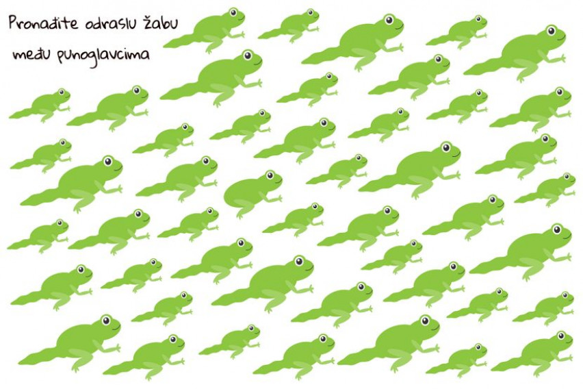 Имате 7 секунди да ја пронајдете жабата помеѓу полноглавците: Дали ќе победи вашиот остар вид?
