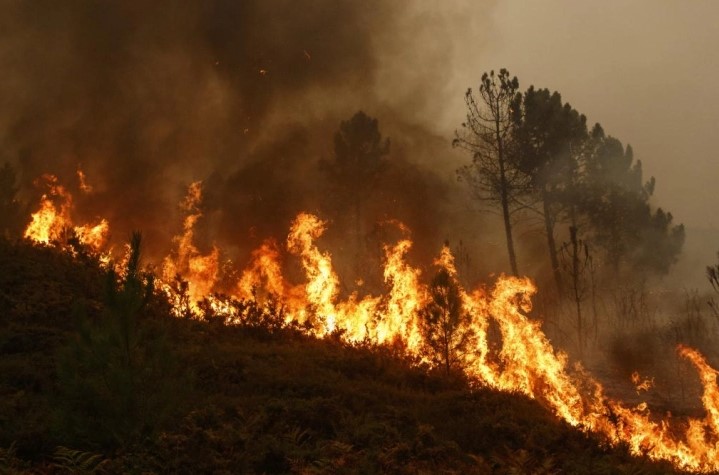 Состојбата со пожарите е исклучително алармантна, вчера имало 60 пожари низ Македонија