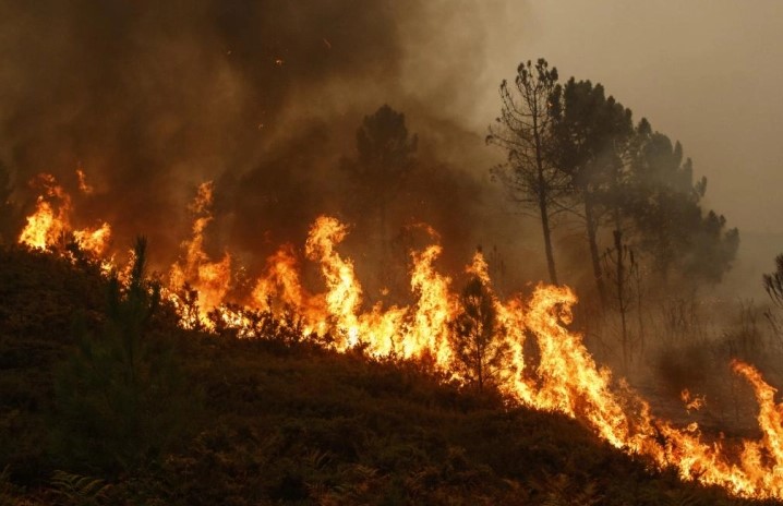 Викендов гореле 20 локации низ Македонија, нема активни пожари