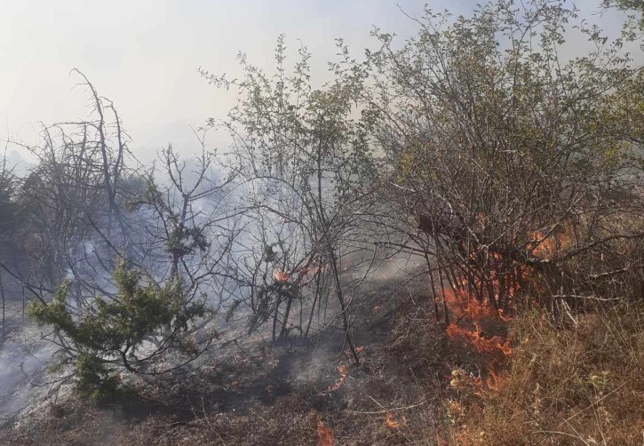 Уште гори кај Зрзе, активни се пет пожари (ВИДЕО)