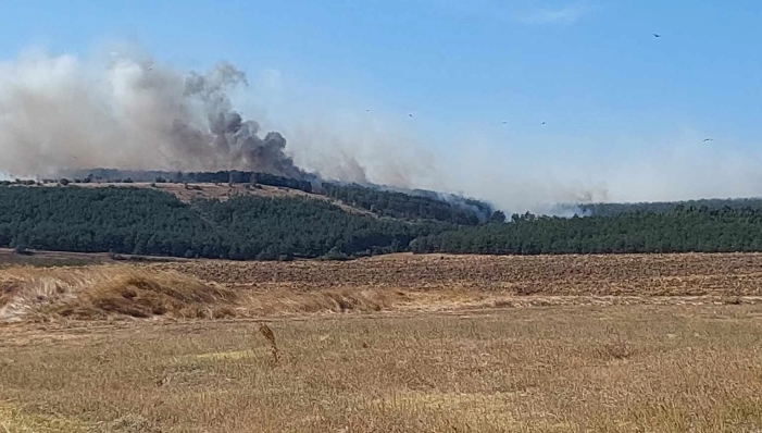 Хеликоптер на МВР вклучен во гаснење на пожарот кај Милино во реонот на Лозово