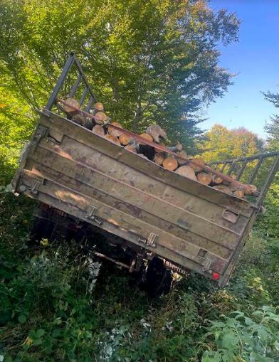 ФОТО: Полиција во Скопска Црна Гора, запленети околу 35 метри кубни бесправно исечени дрв