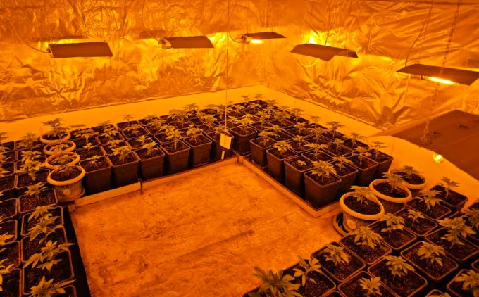 Приведени дилери во Скопје: Пронајдена илегална лабораторија за марихуана, разни видови дрога и пиштол (ВИДЕО)