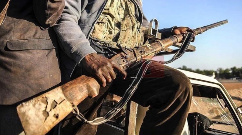 Вооружени напаѓачи киднапираа 50 луѓе во северозападна Нигерија