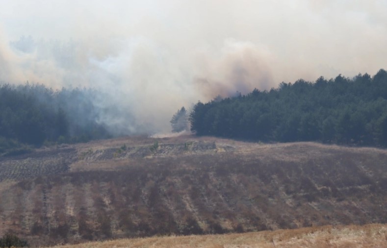 Изгоре голема површина со борова шума: Уште е активен пожарот кај Овче Поле