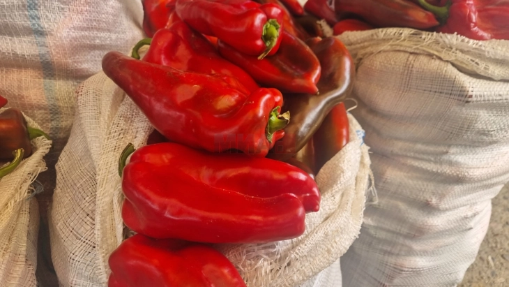 Извозот и намаленото производство ја зголеми цената на ајварската пиперка на штипскиот градски пазар