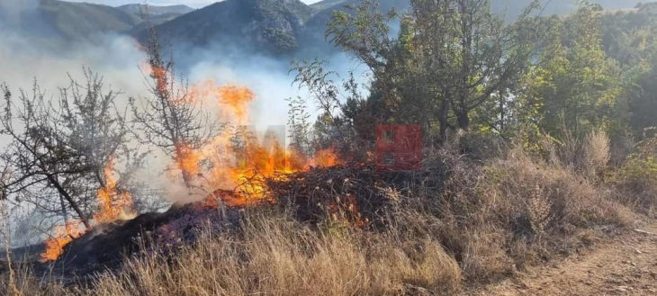 Пожар зафати објект и сува трева во Росоманско