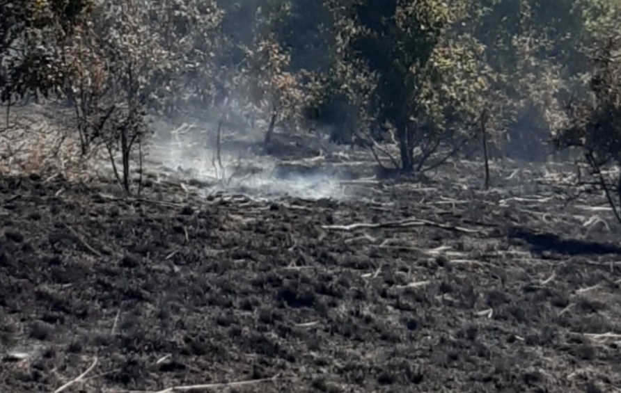 Голем пожар во атарот на штипското село Калапетровци